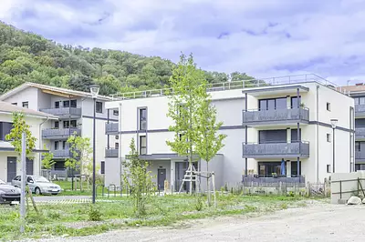 DOMAINE DE LA FRANGE VERTE