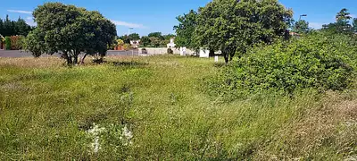 Maison neuve, 115 m²