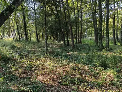 Terrain à bâtir, 717 m²