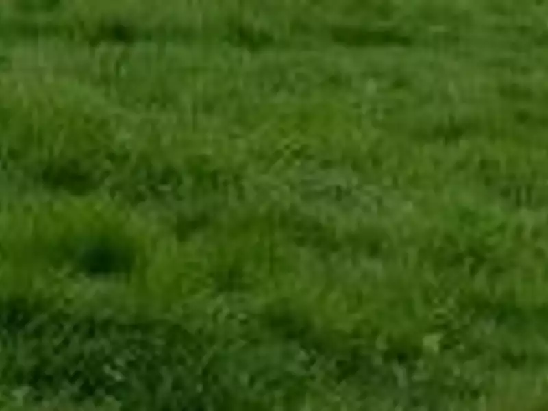 Terrain à bâtir, 620 m² - La Romagne (49740)