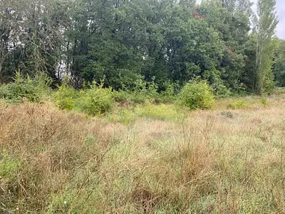 Maison neuve, 90 m²