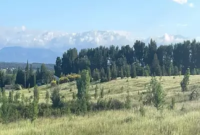 Terrain à bâtir, 2 990 m²