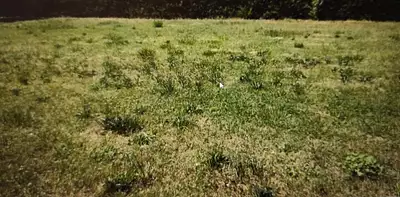 Maison neuve, 141 m²