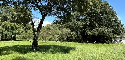 Maison neuve, 167 m²