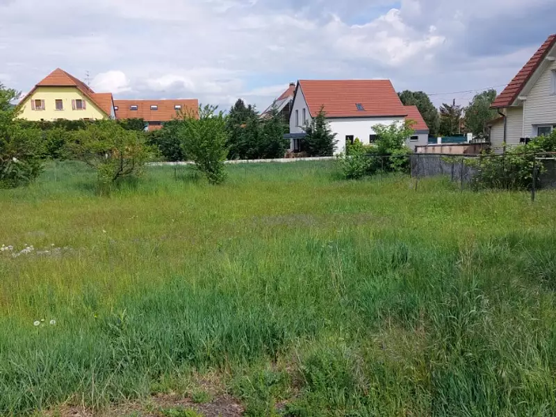 Terrain à bâtir, 550 m² - Scherwiller (67750)