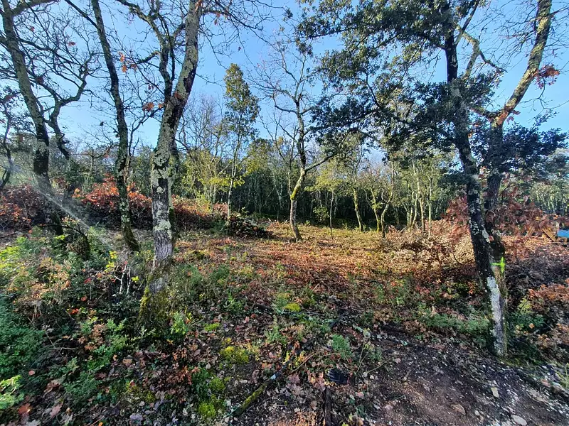 Terrain à bâtir, 1 150 m² - Labastide-de-Virac (07150)
