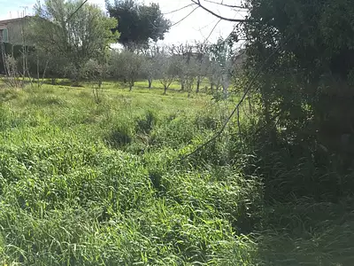 Maison neuve, 95 m²