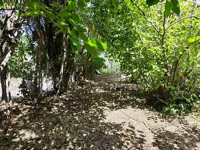 Maison neuve, 110 m²