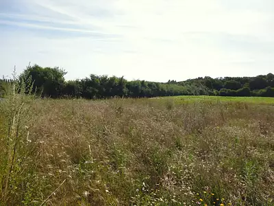 Maison neuve, 90 m²