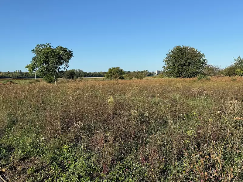 Maison neuve, 77 m² - Courlon-sur-Yonne (89140)