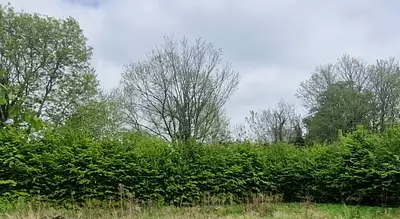 Maison neuve, 92 m²