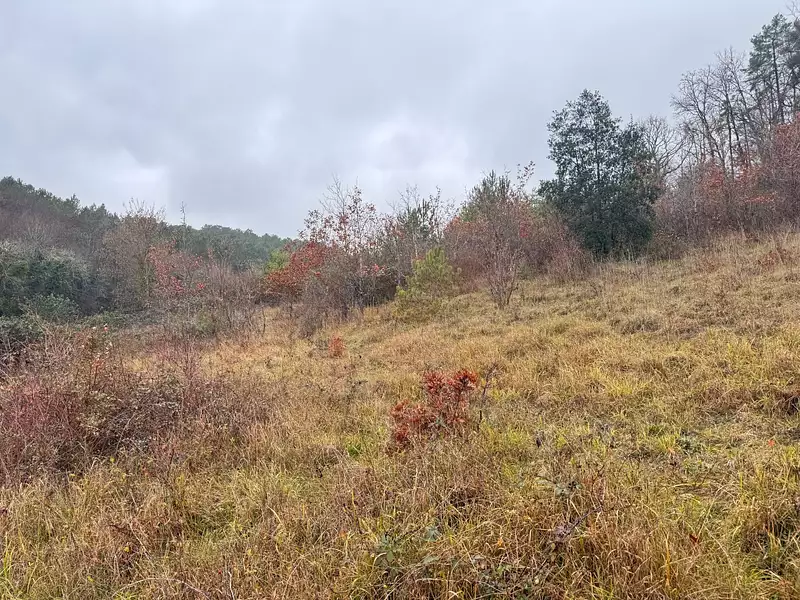 Terrain à bâtir, 1 399 m² - Trélissac (24750)