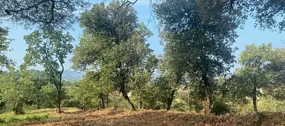 Maison neuve, 97 m²