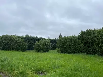 Terrain à bâtir, 555 m²