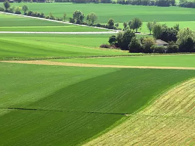 Terrain à bâtir, 2 500 m² - Samazan (47250)