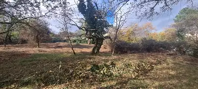 Terrain à bâtir, 1 959 m²