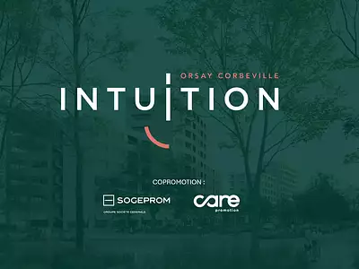 Intuition