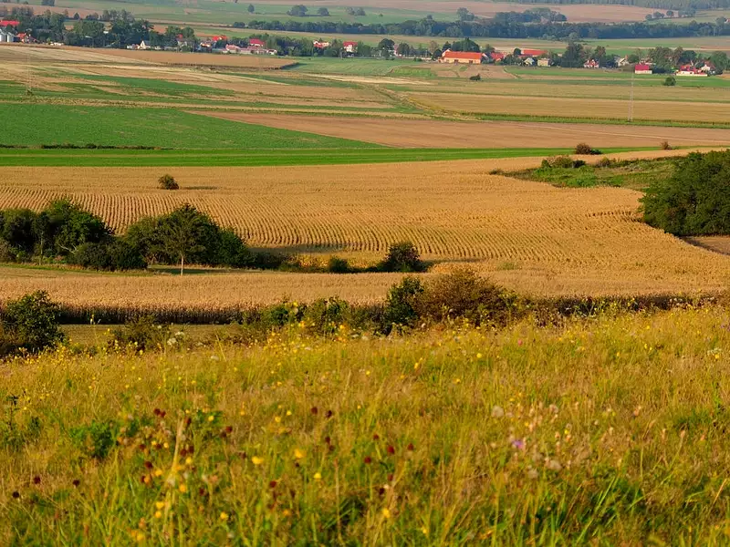 Terrain à bâtir, 1 770 m² - La Selle-sur-le-Bied (45210)