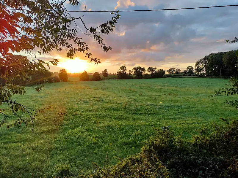 Terrain à bâtir, 251 m² - Guipel (35440)