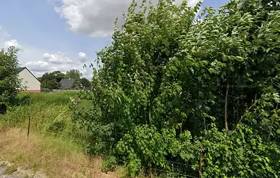 Maison neuve, 60 m²