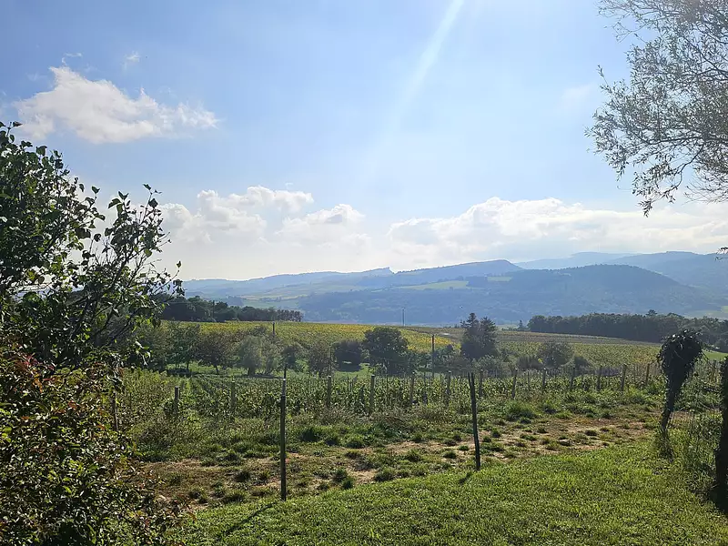 Terrain à bâtir, 1 200 m² - La Roche-Vineuse (71960)