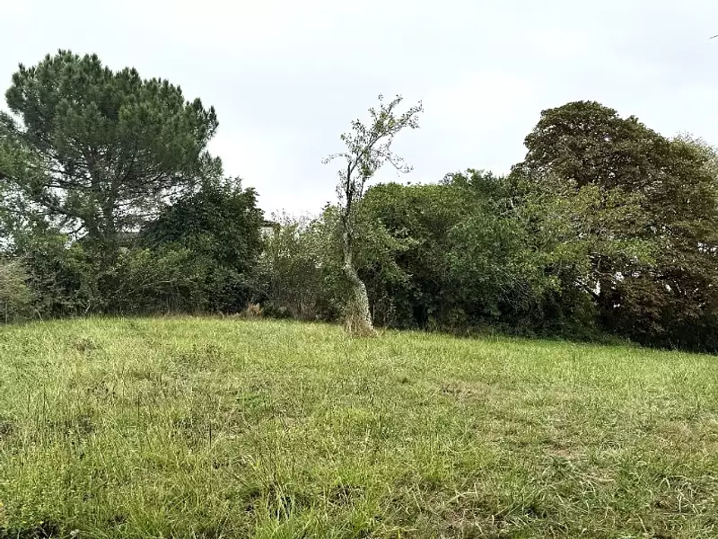 Terrain à bâtir, 264 m² - Uzeste (33730)