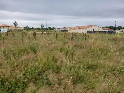 Maison neuve, 82 m²