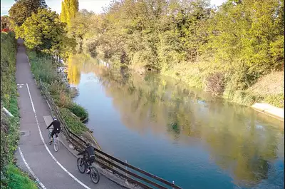 Côté Camargue
