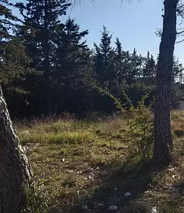 Terrain à bâtir, 495 m²