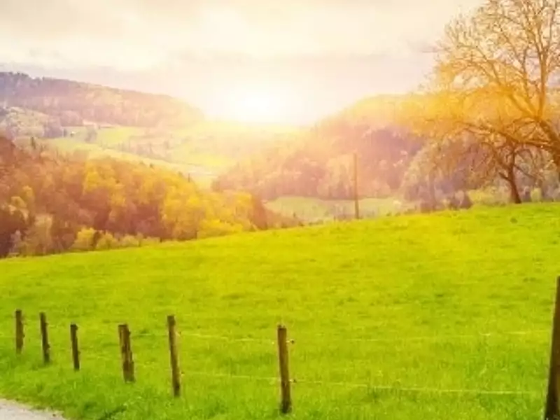 Terrain à bâtir, 338 m² - Mouilleron-le-Captif (85000)