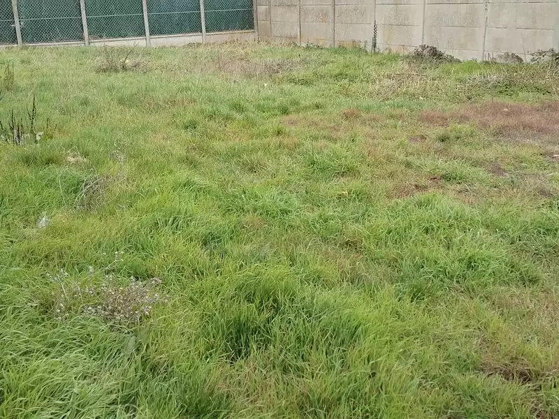 Terrain à bâtir, 675 m² - Conflans-Sainte-Honorine (78700)