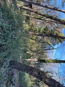 Terrain à bâtir, 614 m²