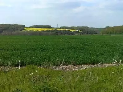 Maison neuve, 85 m²