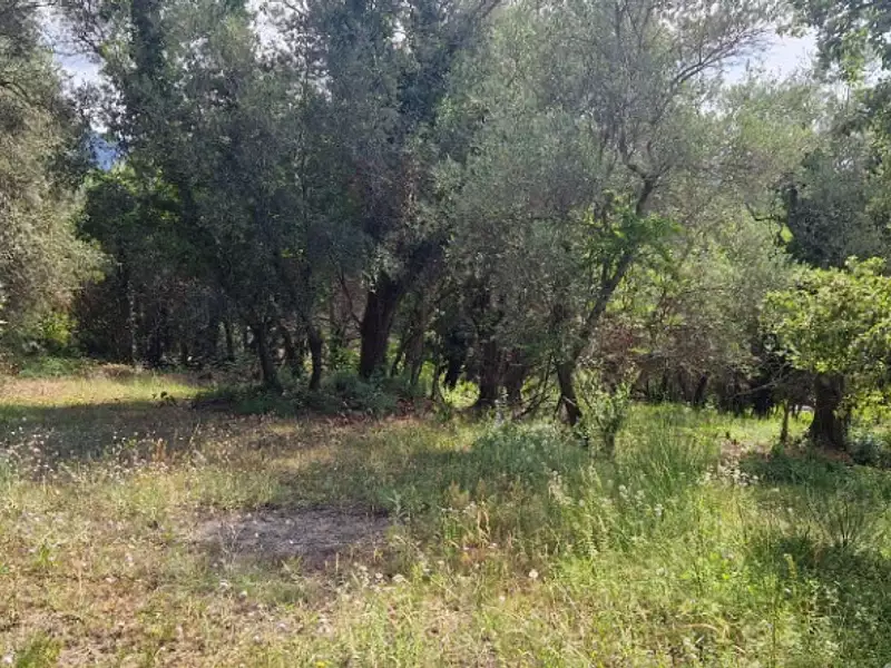 Maison neuve, 93 m² - Grasse (06130)
