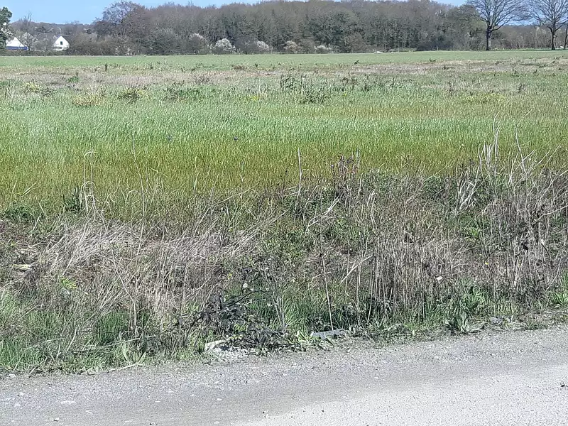 Terrain à bâtir, 1 200 m² - Pontchâteau (44160)