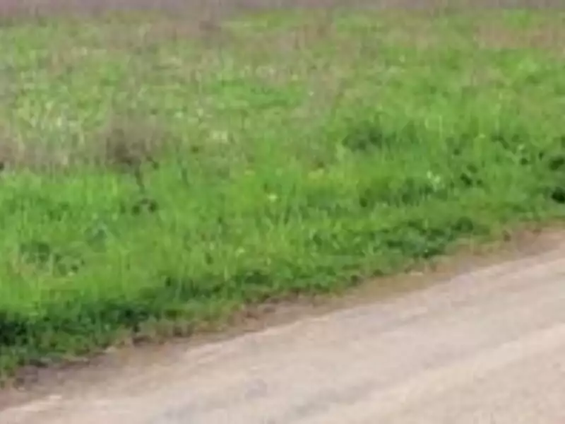 Terrain à bâtir, 1 036 m² - Senan (89710)