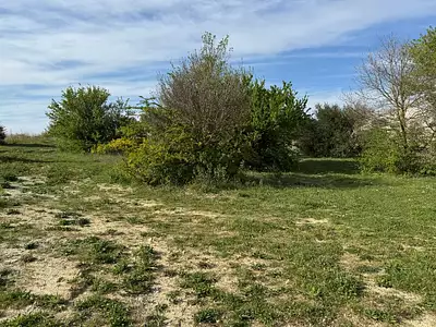 Terrain à bâtir, 919 m²