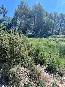 Terrain à bâtir, 1 289 m²