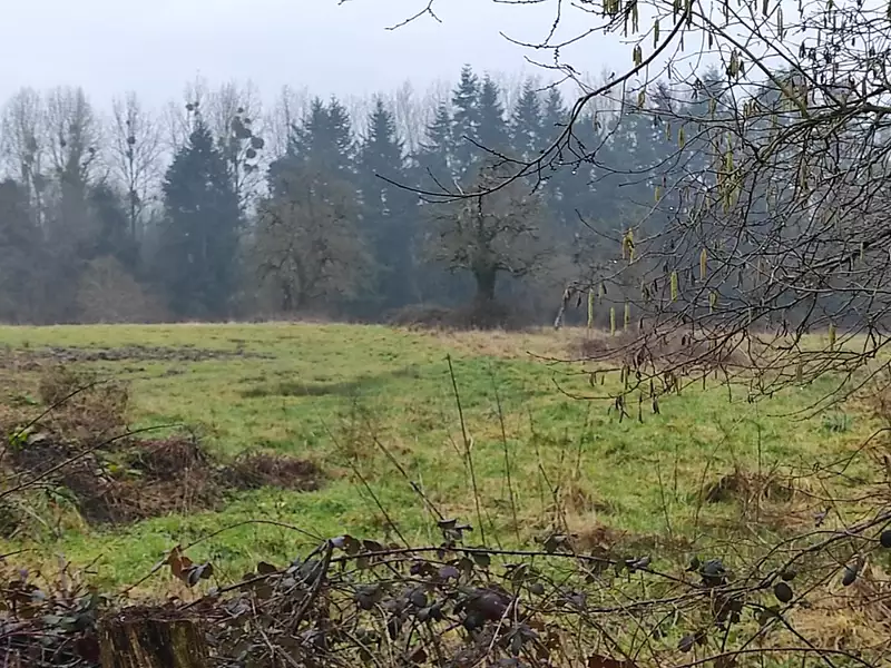 Maison neuve, 139 m² - Saint-André-d'Hébertot (14130)