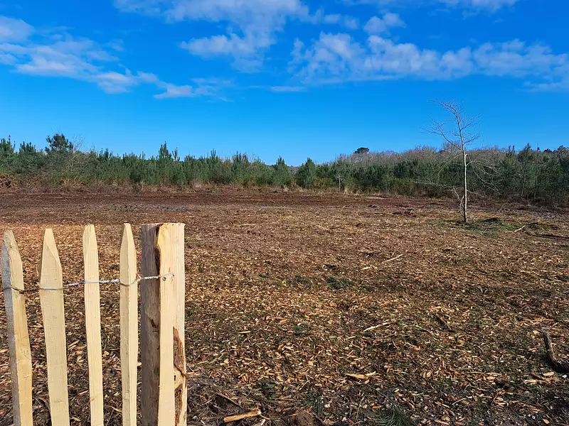 Terrain à bâtir, 562 m² - Mézos (40170)