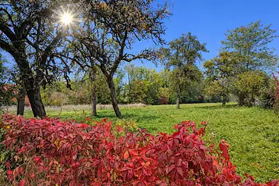 Maison neuve, 107 m²