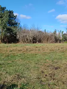 Terrain à bâtir, 437 m²