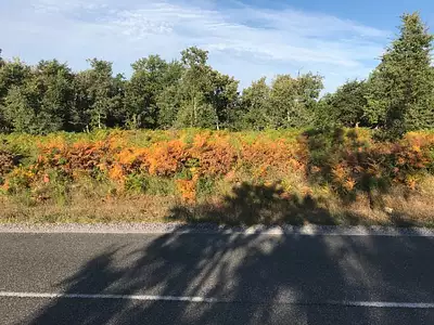 Maison neuve, 100 m²