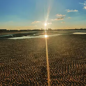 Maison neuve, 80 m²