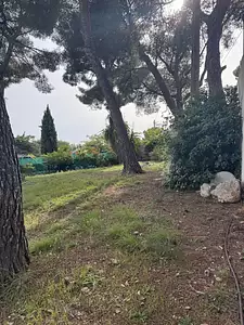 Terrain à bâtir, 383 m²