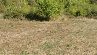 Terrain à bâtir, 900 m²