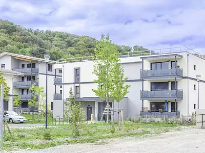 DOMAINE DE LA FRANGE VERTE