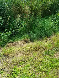 Maison neuve, 98 m²