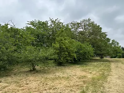 Maison neuve, 140 m²