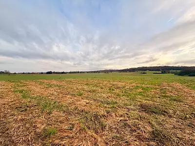 Maison neuve, 84 m²